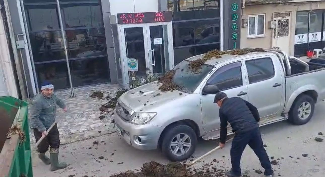 Hayvan Dışkılı Protesto!