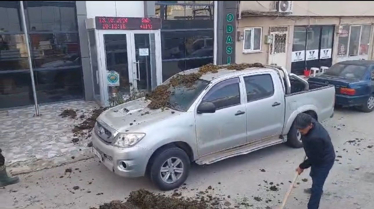 Hayvan Dışkılı Protesto!