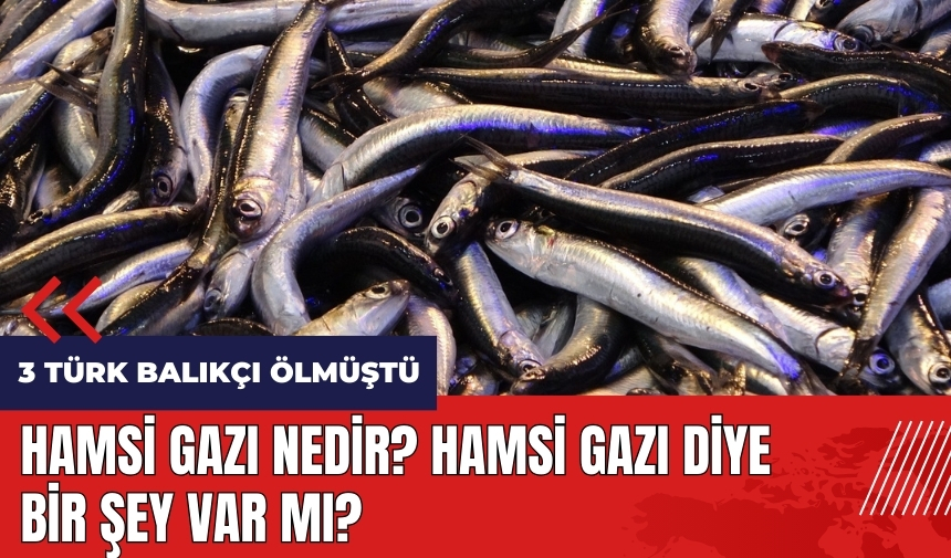 Hamsi gazı nedir? Hamsi gazı diye bir şey var mı?