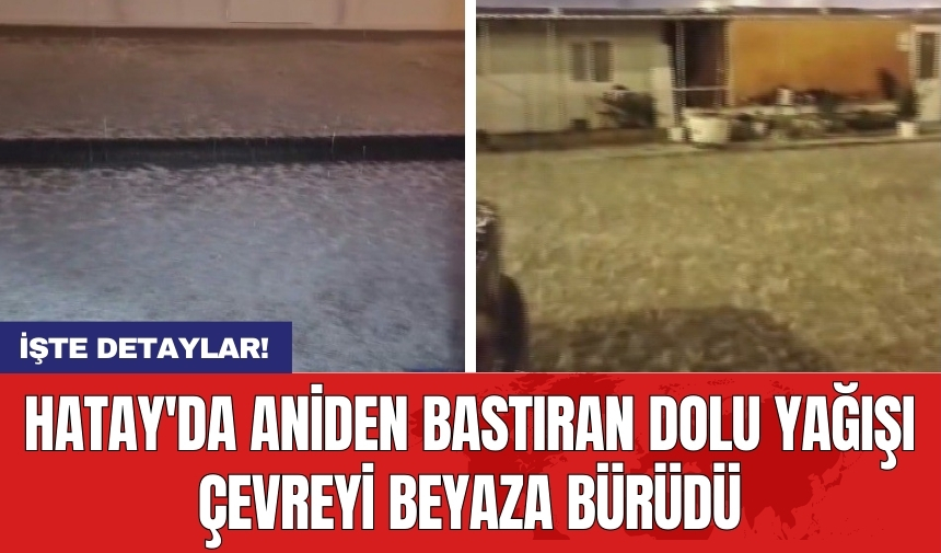 Hatay'da aniden bastıran dolu yağışı çevreyi beyaza bürüdü