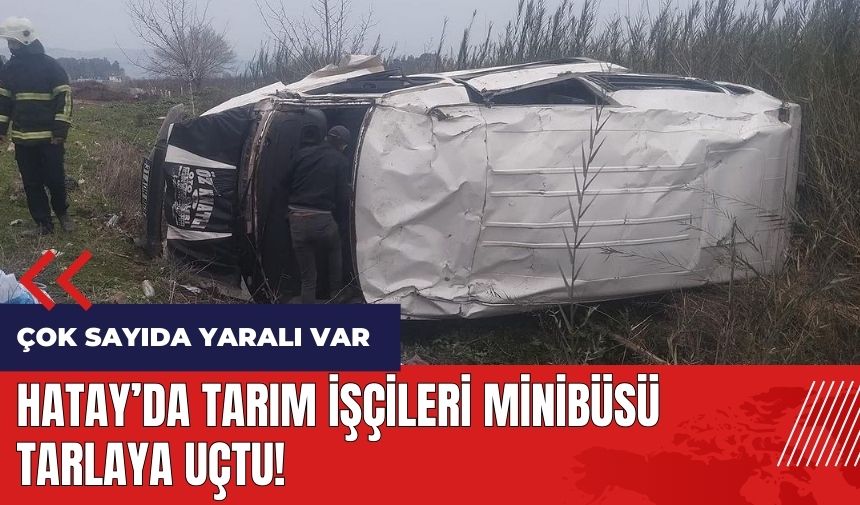 Hatay'da tarım işçileri minibüsü tarlaya uçtu!