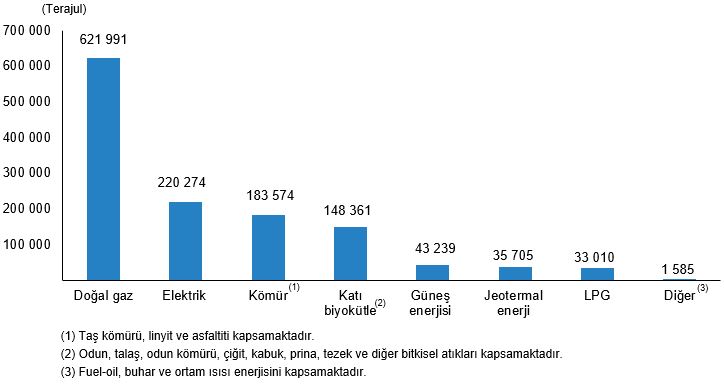 Indir (2)-6