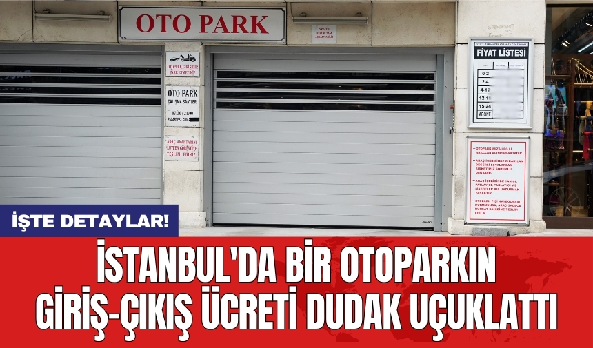 İstanbul'da bir otoparkın giriş-çıkış ücreti dudak uçuklattı