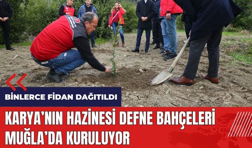 Karya'nın Hazinesi Defne bahçeleri Muğla'da kuruluyor