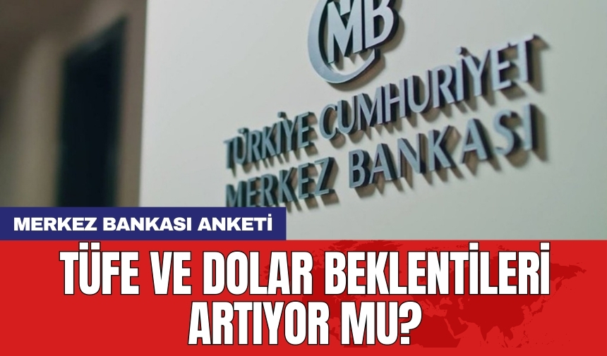 Merkez Bankası anketi: TÜFE ve dolar beklentileri artıyor mu?