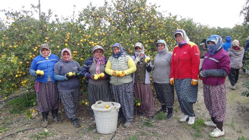 Mersinli Üreticiler Aksaray’a 20 Ton Ücretsiz Limon Gönderdi 