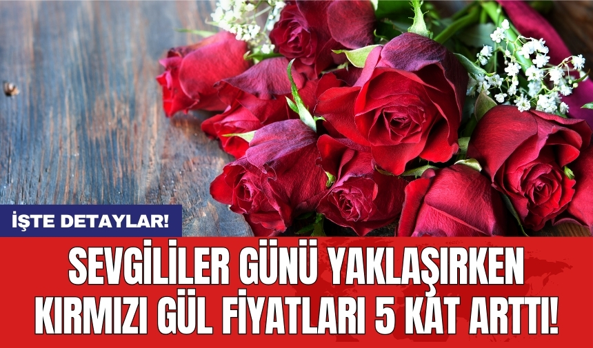 Sevgililer Günü yaklaşırken kırmızı gül fiyatları 5 kat arttı!