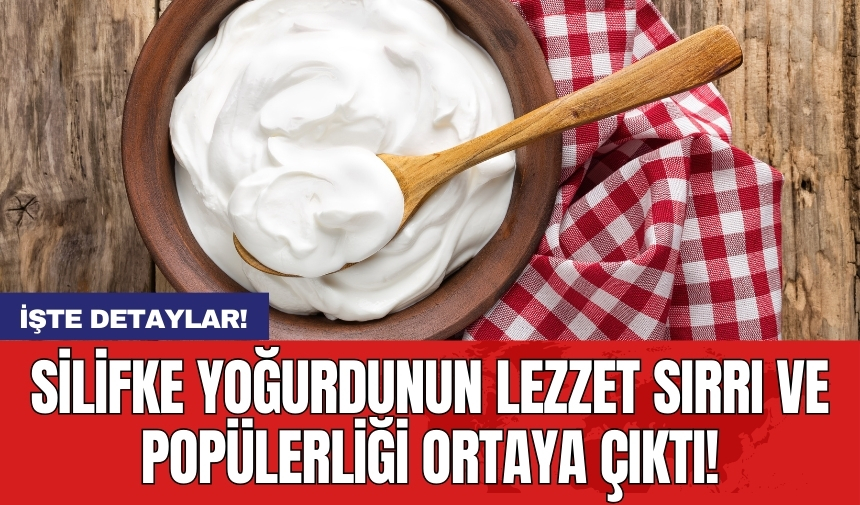 Silifke yoğurdunun lezzet sırrı ve popülerliği ortaya çıktı!