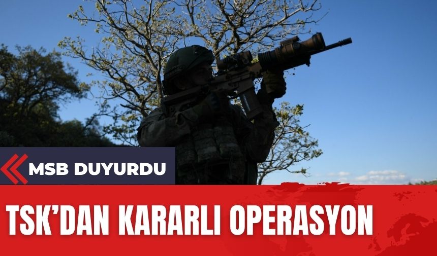 TSK'dan kararlı operasyon! 2 ter*rist teslim oldu