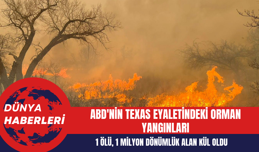 ABD'nin Texas Eyaletindeki Orman Yangınları: 1 Kişi Hayatını Kaybetti 1 Milyon Dönümlük Alan Kül Oldu