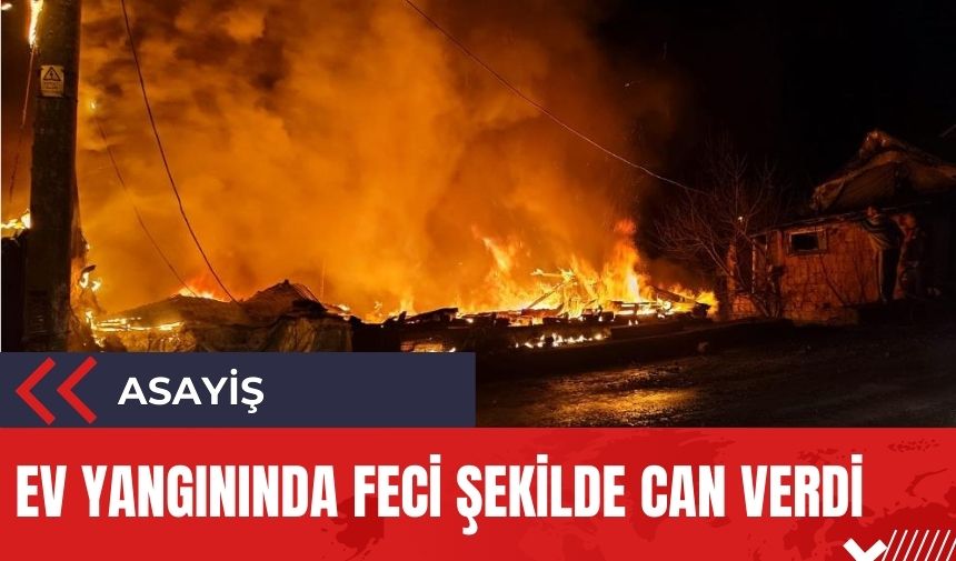 Yangında feci şekilde can verdi