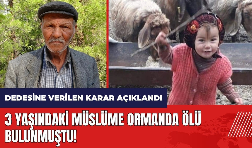 3 yaşındaki Müslüme ormanda ölü bulunmuştu! Dedesine verilen karar açıklandı