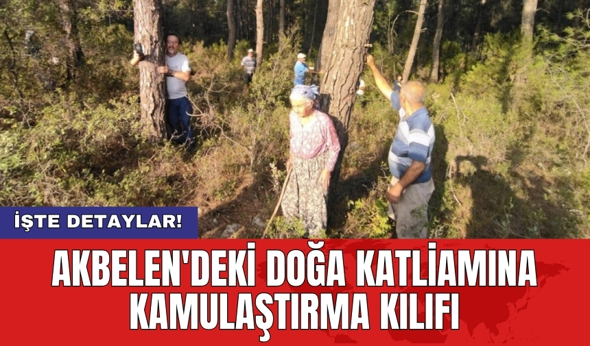 Akbelen'deki doğa katliamına kamulaştırma kılıfı