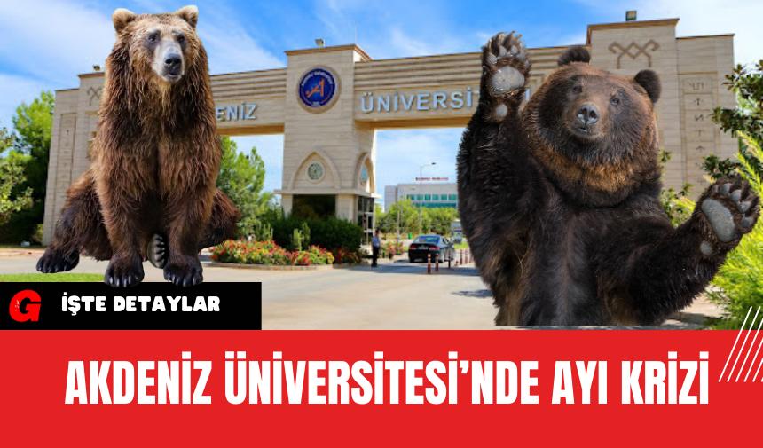 Akdeniz Üniversitesi’nde Ayı Krizi