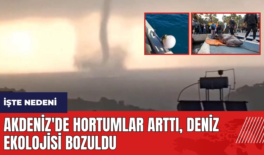 Akdeniz'de hortumlar arttı! İşte nedeni