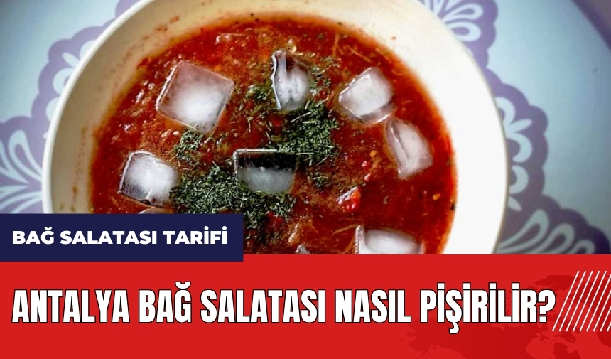 Antalya Bağ Salatası nasıl pişirilir? Bağ Salatası tarifi