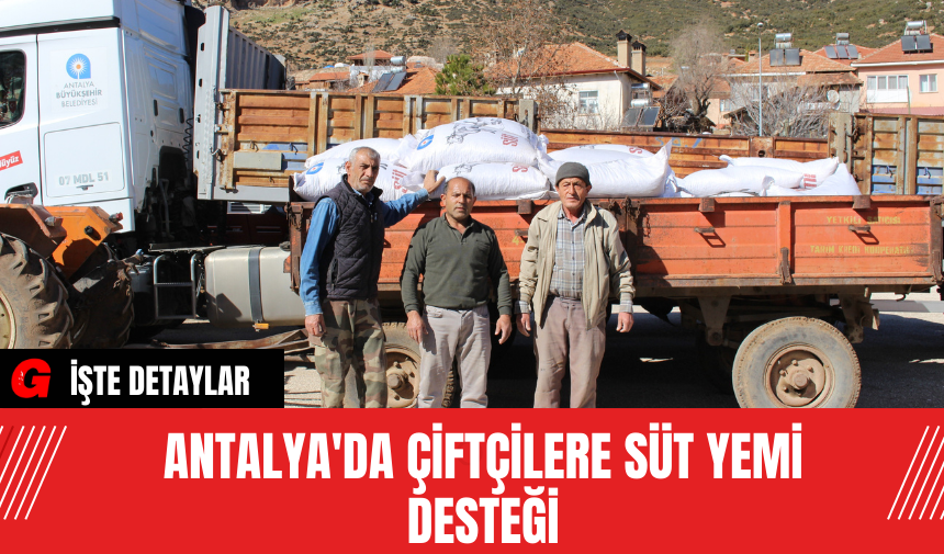 Antalya'da Çiftçilere Süt Yemi Desteği