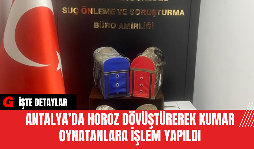 Antalya’da Horoz Dövüştürerek Kumar Oynatanlara İşlem Yapıldı