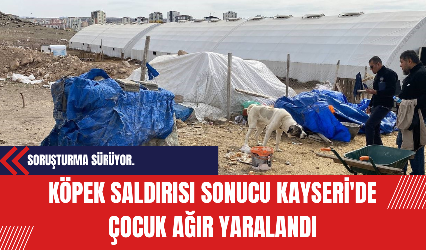 Köpek Saldırısı Sonucu Kayseri'de Çocuk Ağır Yaralandı