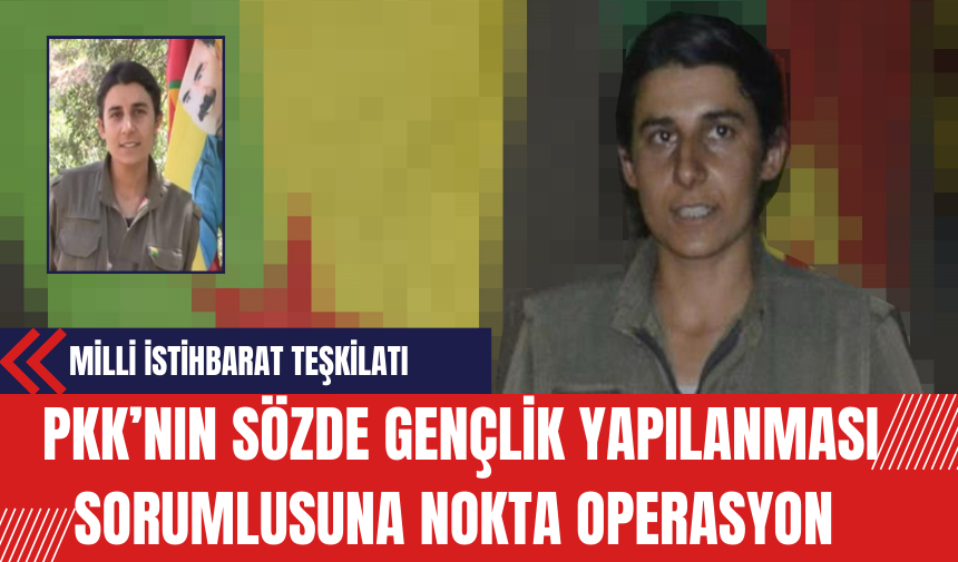 MİT P*K’nın Sözde Gençlik Yapılanması Sorumlusuna Nokta Operasyon