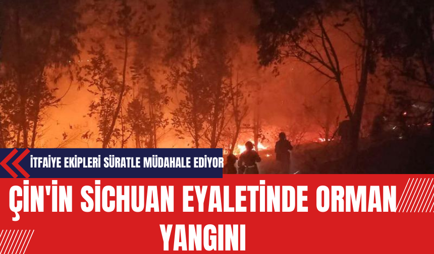 Çin'in Sichuan Eyaletinde Orman Yangını: İtfaiye Ekipleri Süratle Müdahale Ediyor