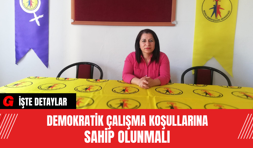 Demokratik çalışma koşullarına sahip olunmalı