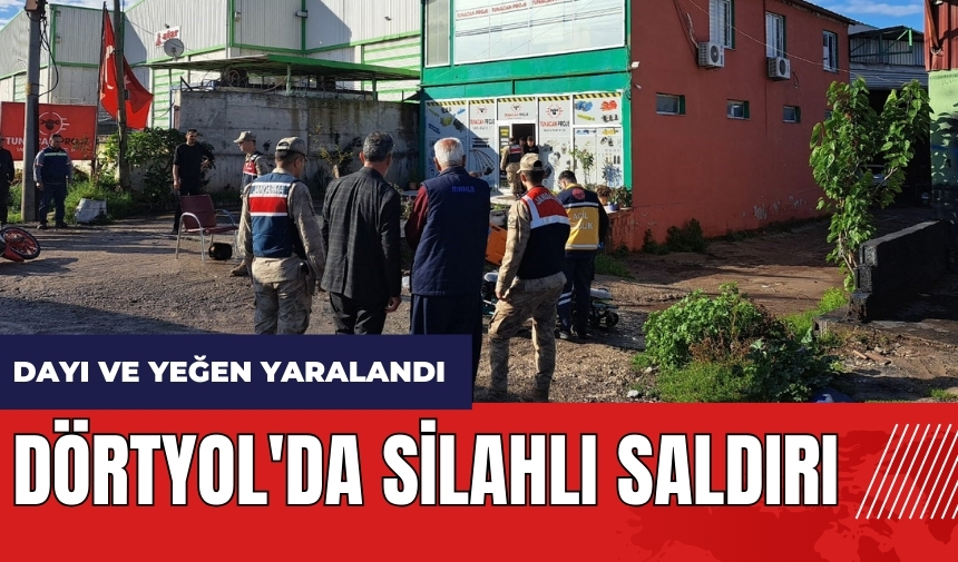 Dörtyol'da silahlı saldırı: Dayı ve yeğen yaralandı