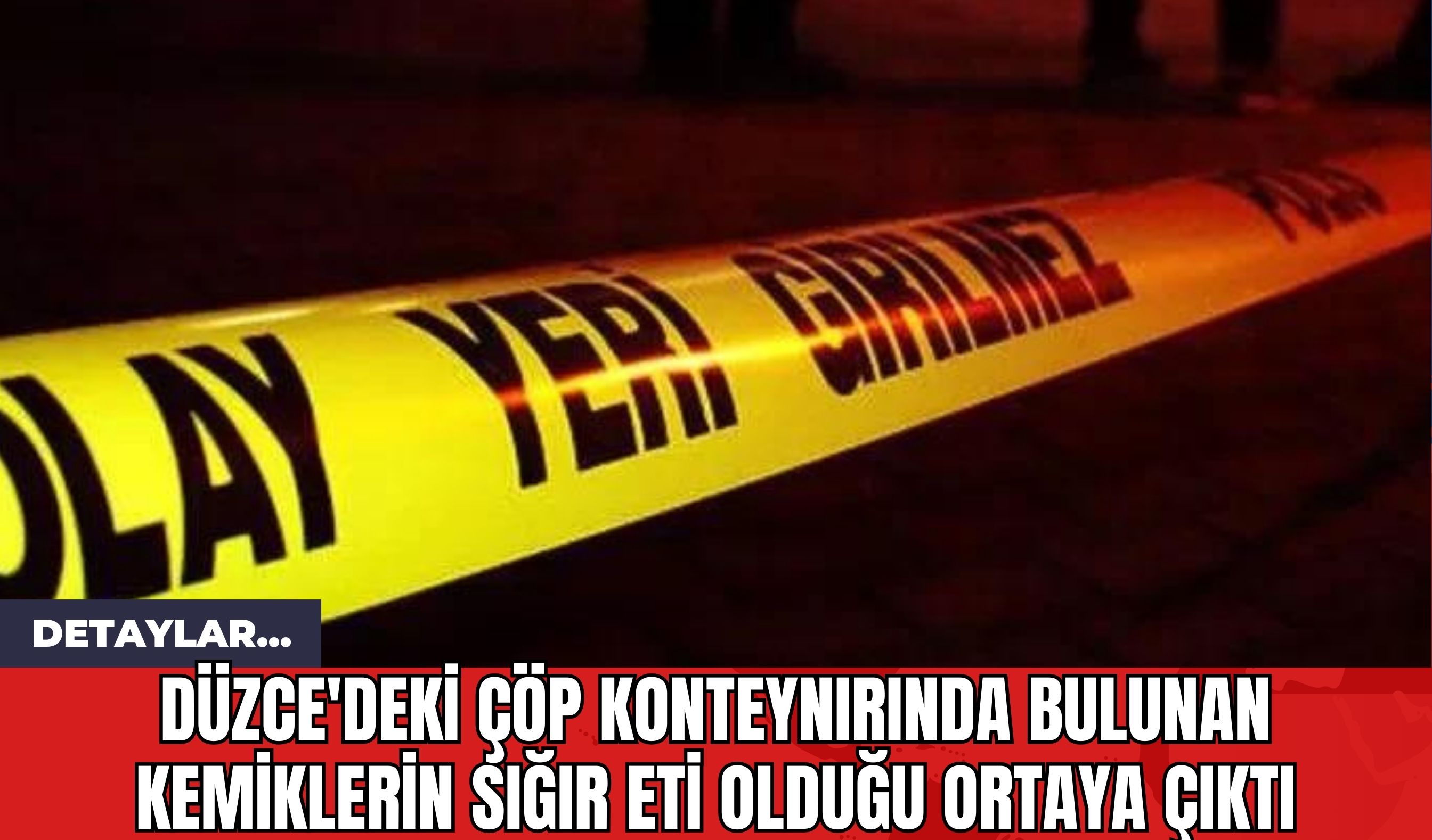 Düzce'deki Çöp Konteynırında Bulunan Kemiklerin Sığır Eti Olduğu Ortaya Çıktı