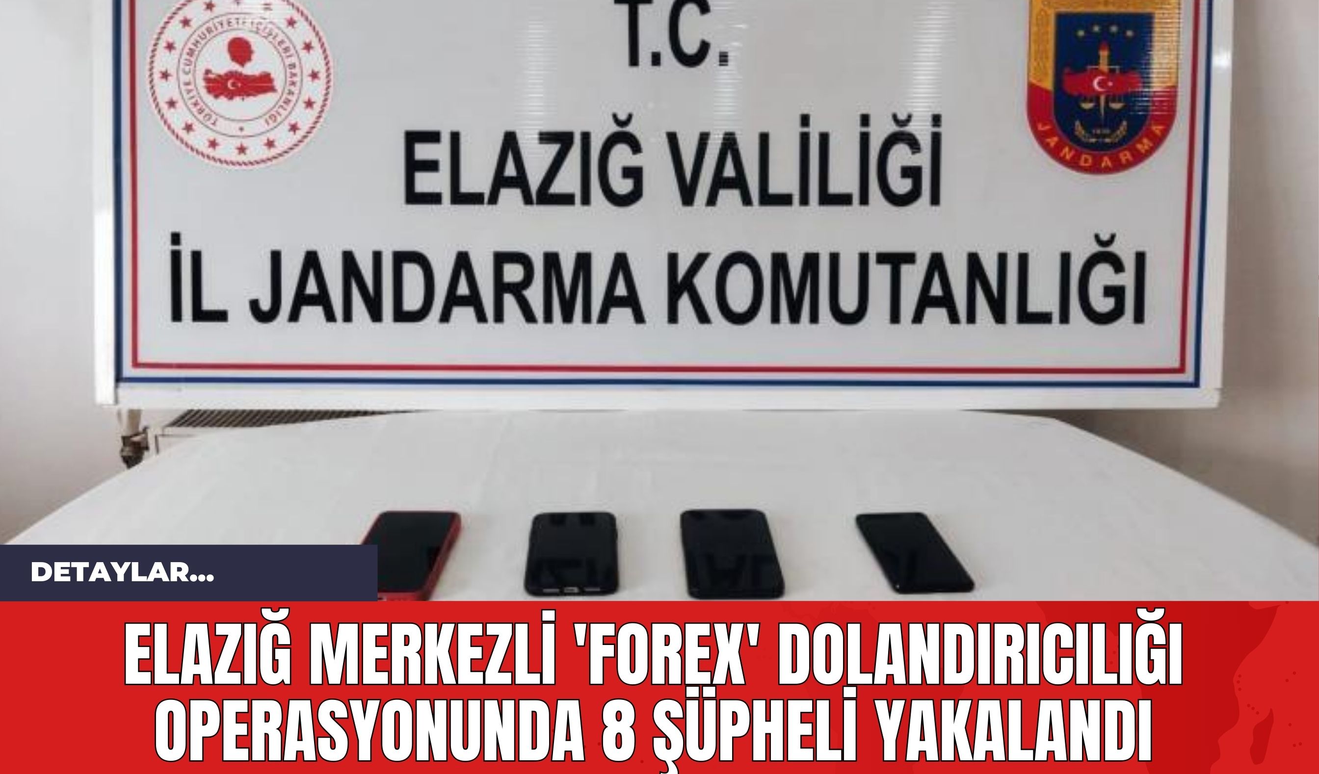 Elazığ Merkezli 'Forex' Dolandırıcılığı Operasyonunda 8 Şüpheli Yakalandı