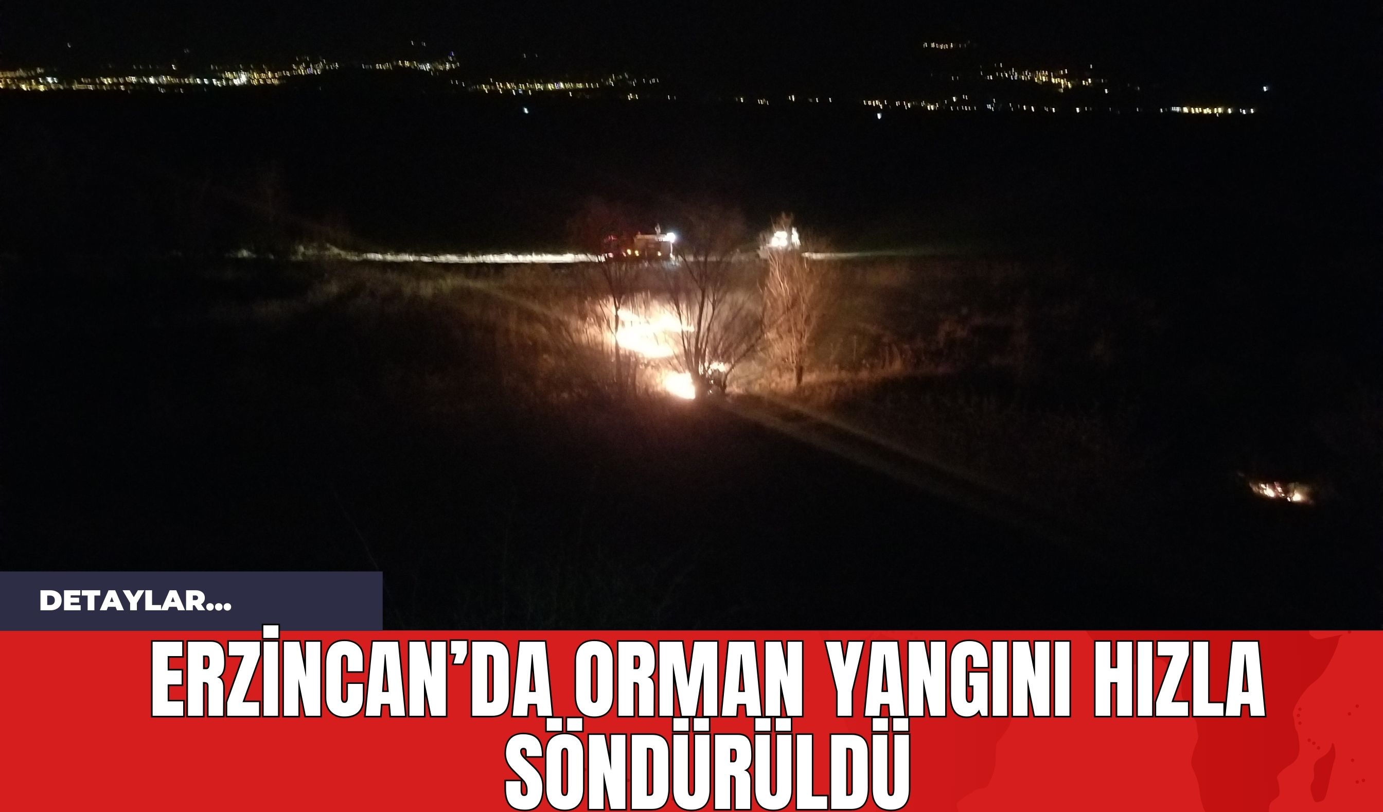 Erzincan’da Orman Yangını Hızla Söndürüldü