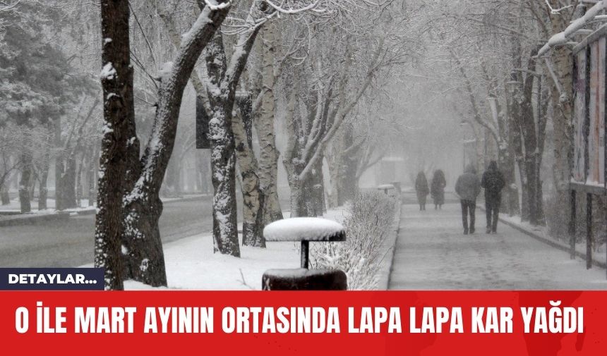 O İle Mart Ayının Ortasında Lapa Lapa Kar Yağdı