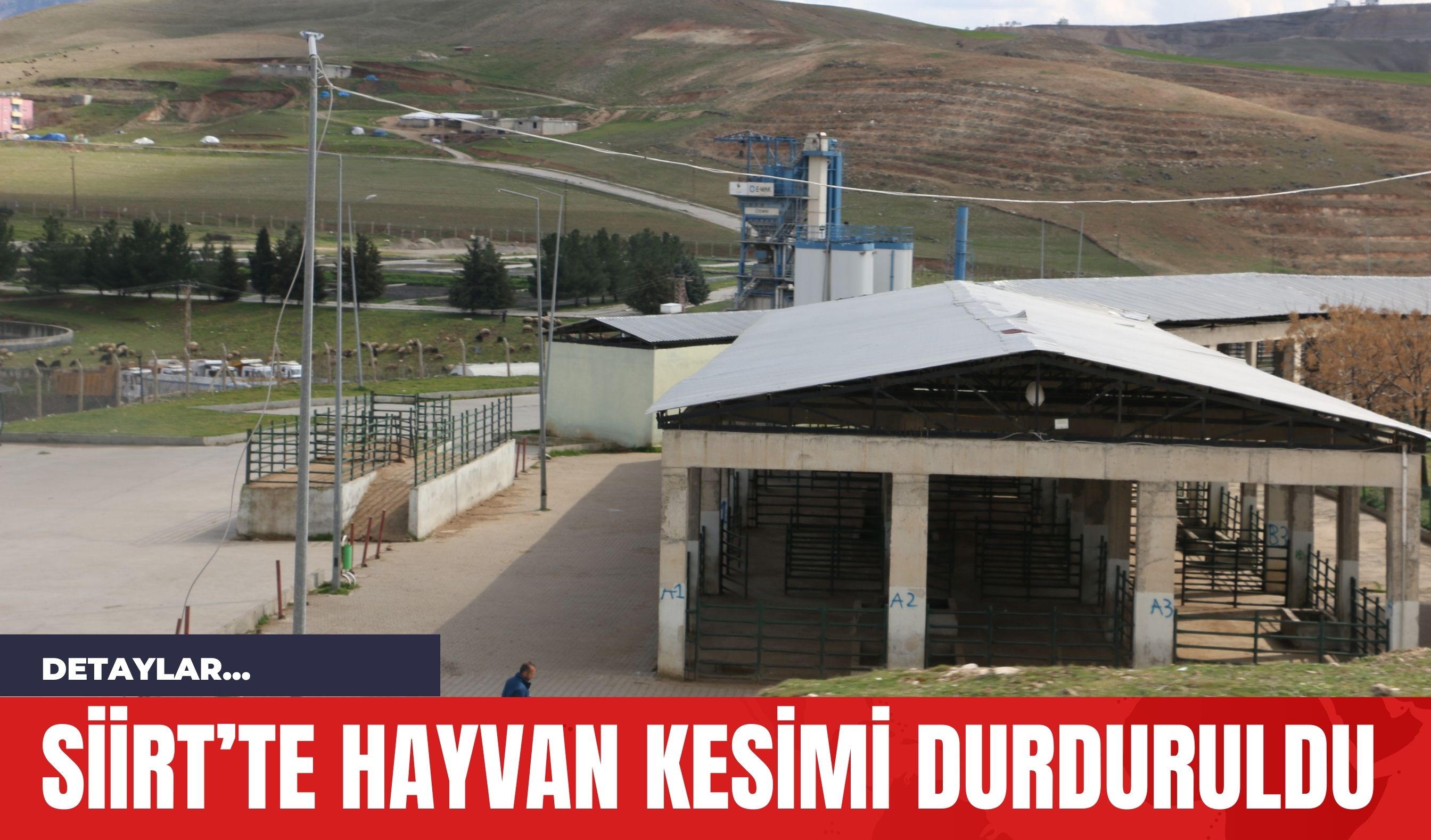 Siirt’te hayvan kesimi durduruldu