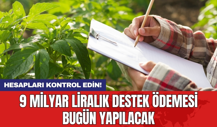 Hesapları kontrol edin! 9 milyar liralık destek ödemesi bugün yapılacak