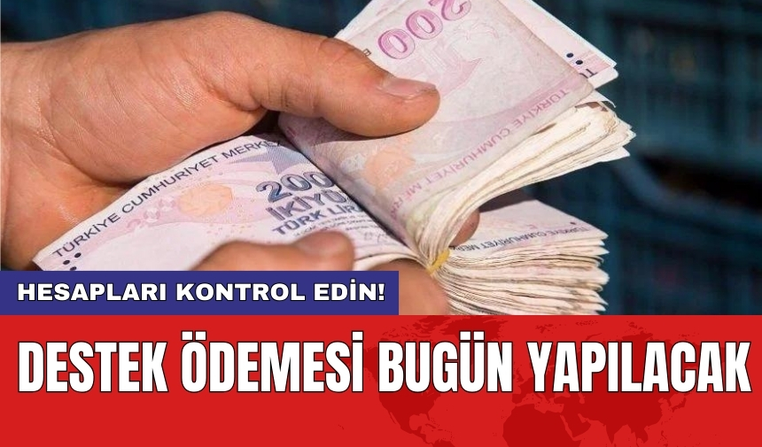 Hesapları kontrol edin! Destek ödemesi bugün yapılacak