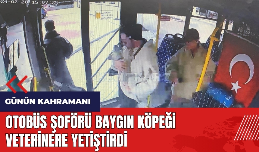 Isparta'da otobüs şoförü baygın köpeği veterinere yetiştirdi