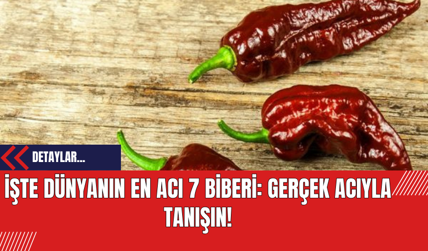 İşte Dünyanın En Acı 7 Biberi: Gerçek Acıyla Tanışın!