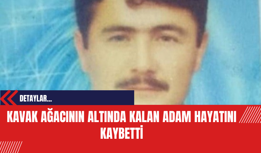 Kavak Ağacının Altında Kalan Adam Hayatını Kaybetti