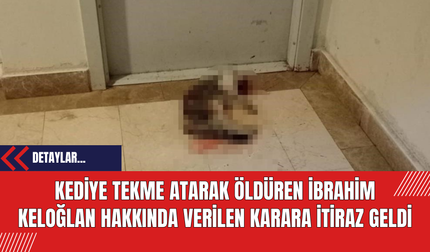 Kediye Tekme Atarak Öldüren İbrahim Keloğlan Hakkında Verilen Karara İtiraz Geldi