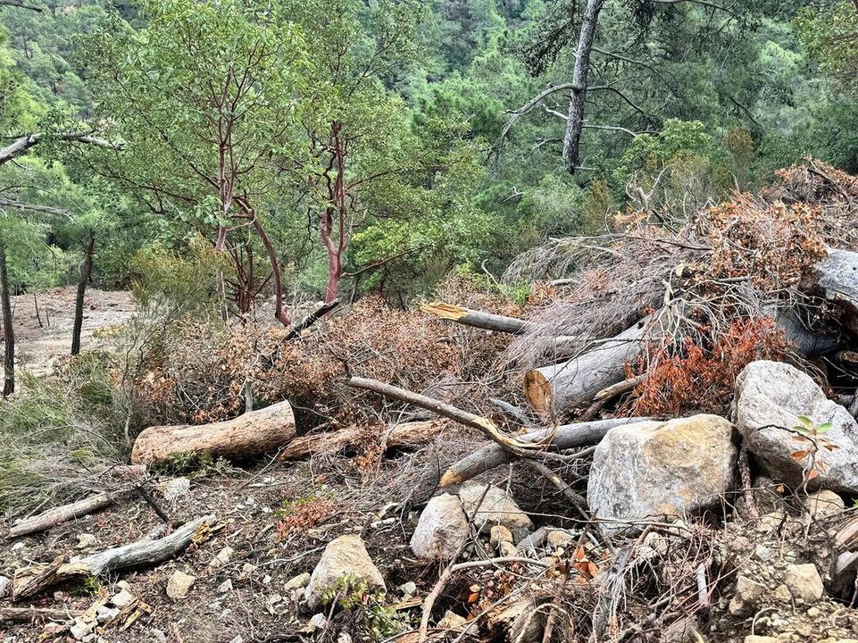 Kemer Çalış Tepe'de Neler Oluyor Belediye Başkanı Topaloğlu'ndan Açıklama Geldi (2) Result