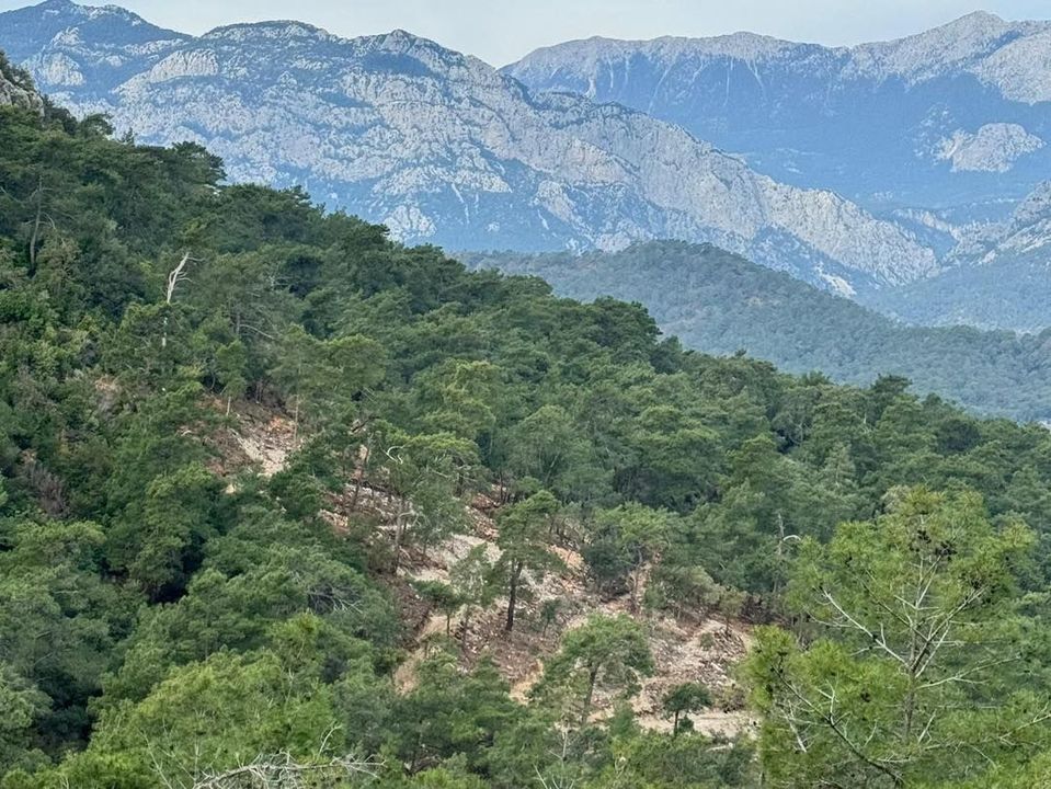 Kemer Çalış Tepe'de Neler Oluyor Belediye Başkanı Topaloğlu'ndan Açıklama Geldi (4) Result