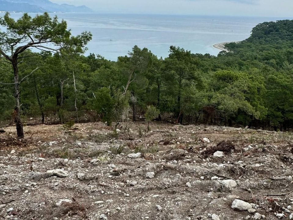 Kemer Çalış Tepe'de Neler Oluyor Belediye Başkanı Topaloğlu'ndan Açıklama Geldi (5) Result