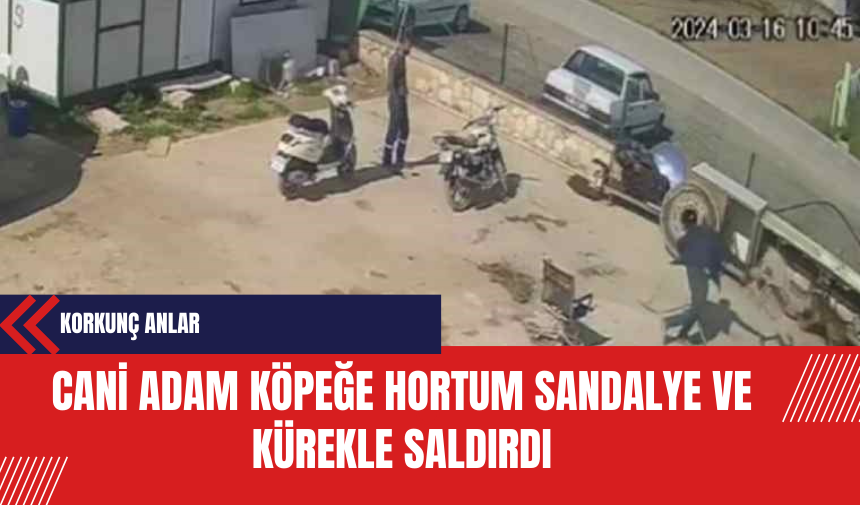 Cani Adam Köpeğe Hortum Sandalye ve Kürekle Saldırdı