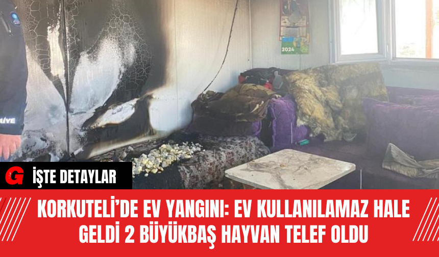 Korkuteli’de Ev Yangını: Ev Kullanılamaz Hale Geldi 2 Büyükbaş Hayvan Telef Oldu