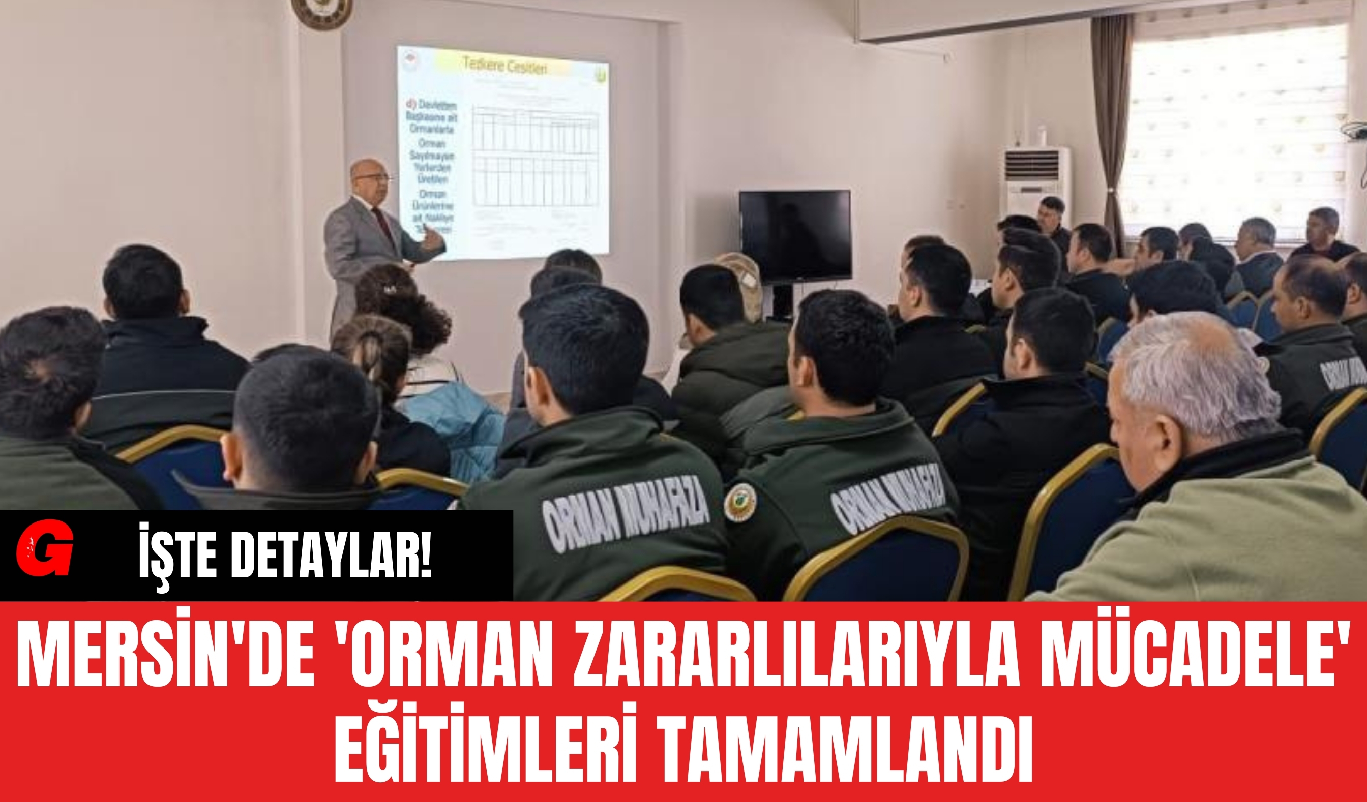 Mersin'de 'Orman Zararlılarıyla Mücadele' Eğitimleri Tamamlandı