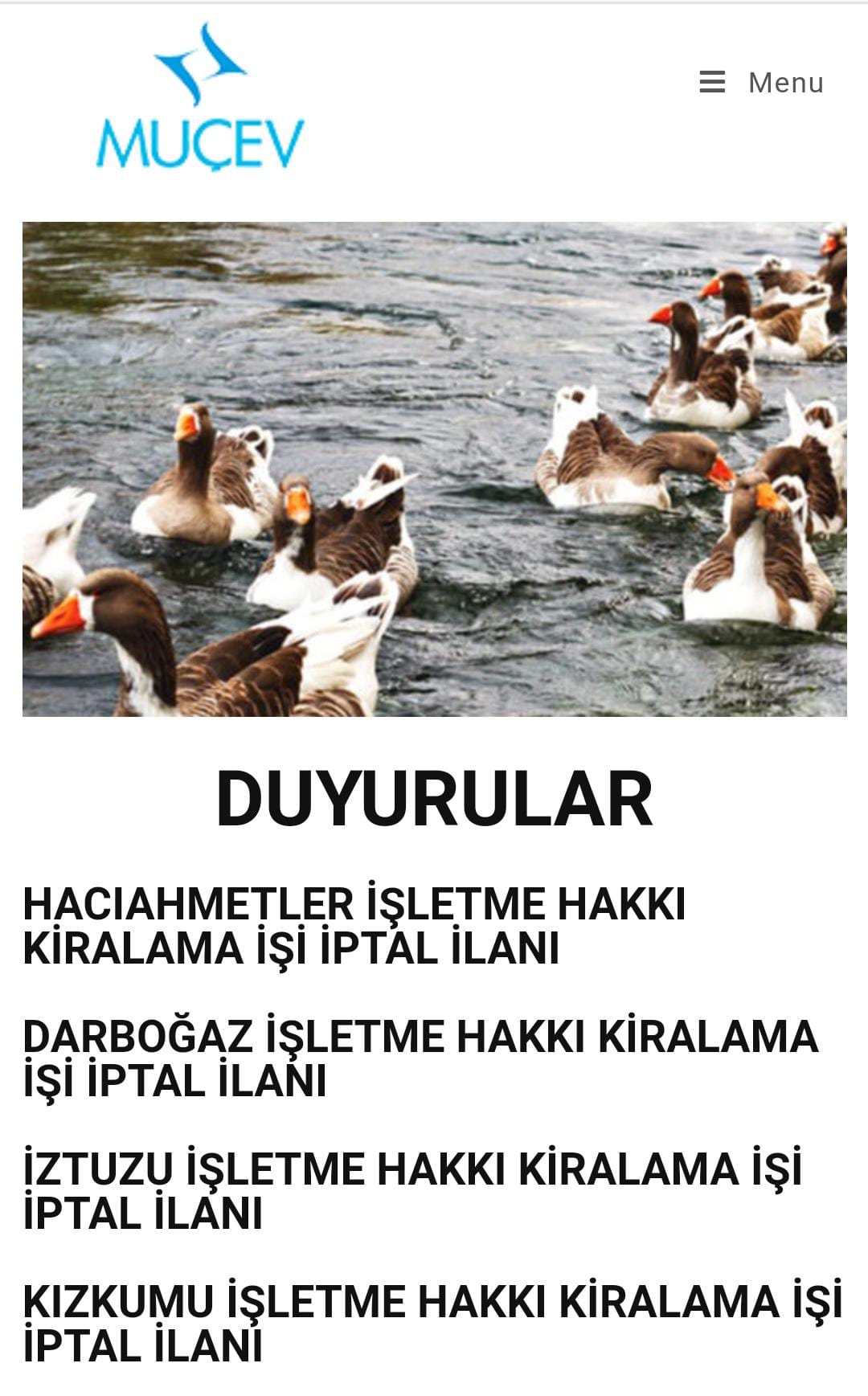 Muğla Koyları Ihaleleri Seçim Öncesi Muçev Geri Adım Attı 