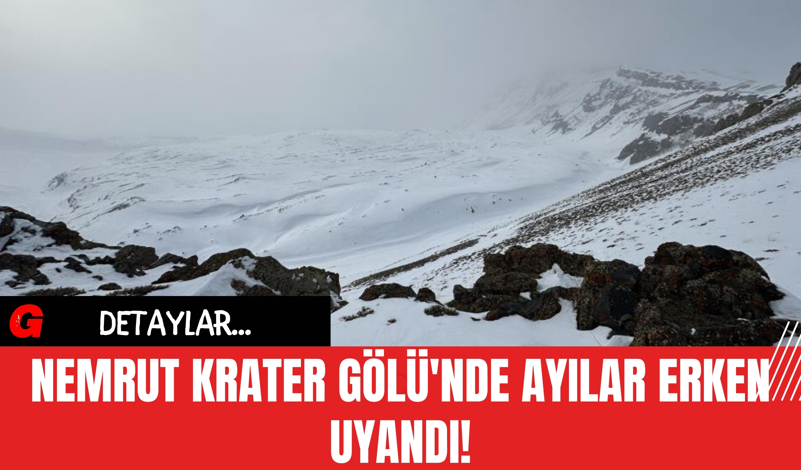 Nemrut Krater Gölü'nde Ayılar Erken Uyandı!