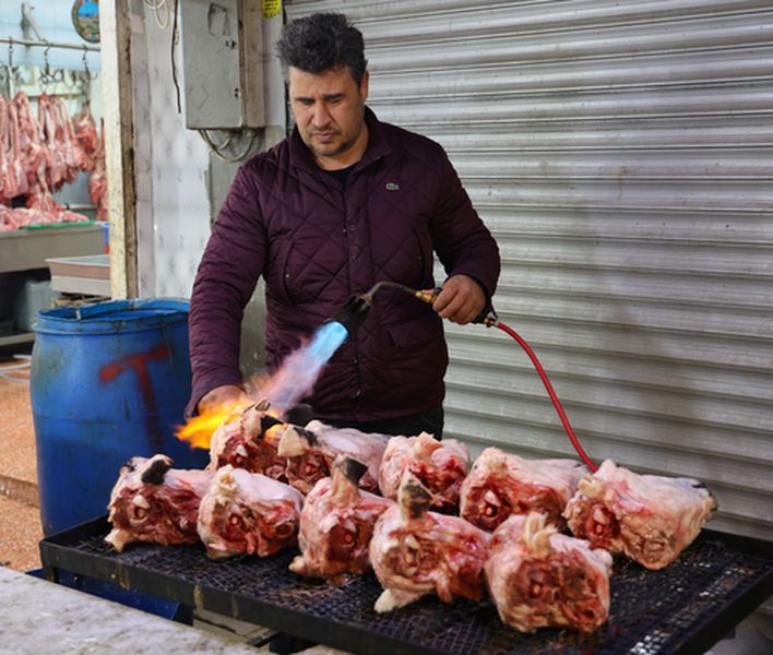 Şırdandan Sonra Yeni Gözde Koyun Kulağı (4) Result