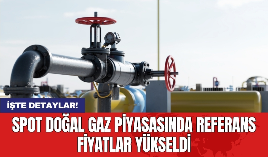 Spot doğal gaz piyasasında referans fiyatlar yükseldi