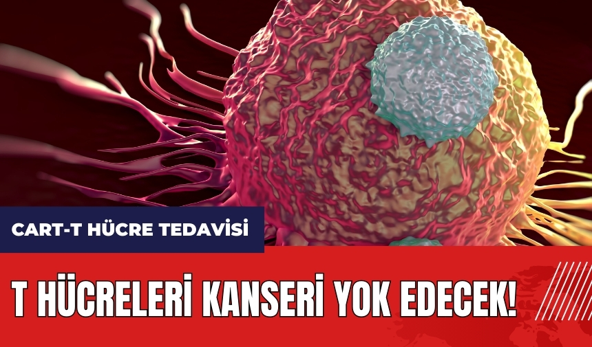 T hücreleri kanseri yok edecek! CART-T hücre tedavisi