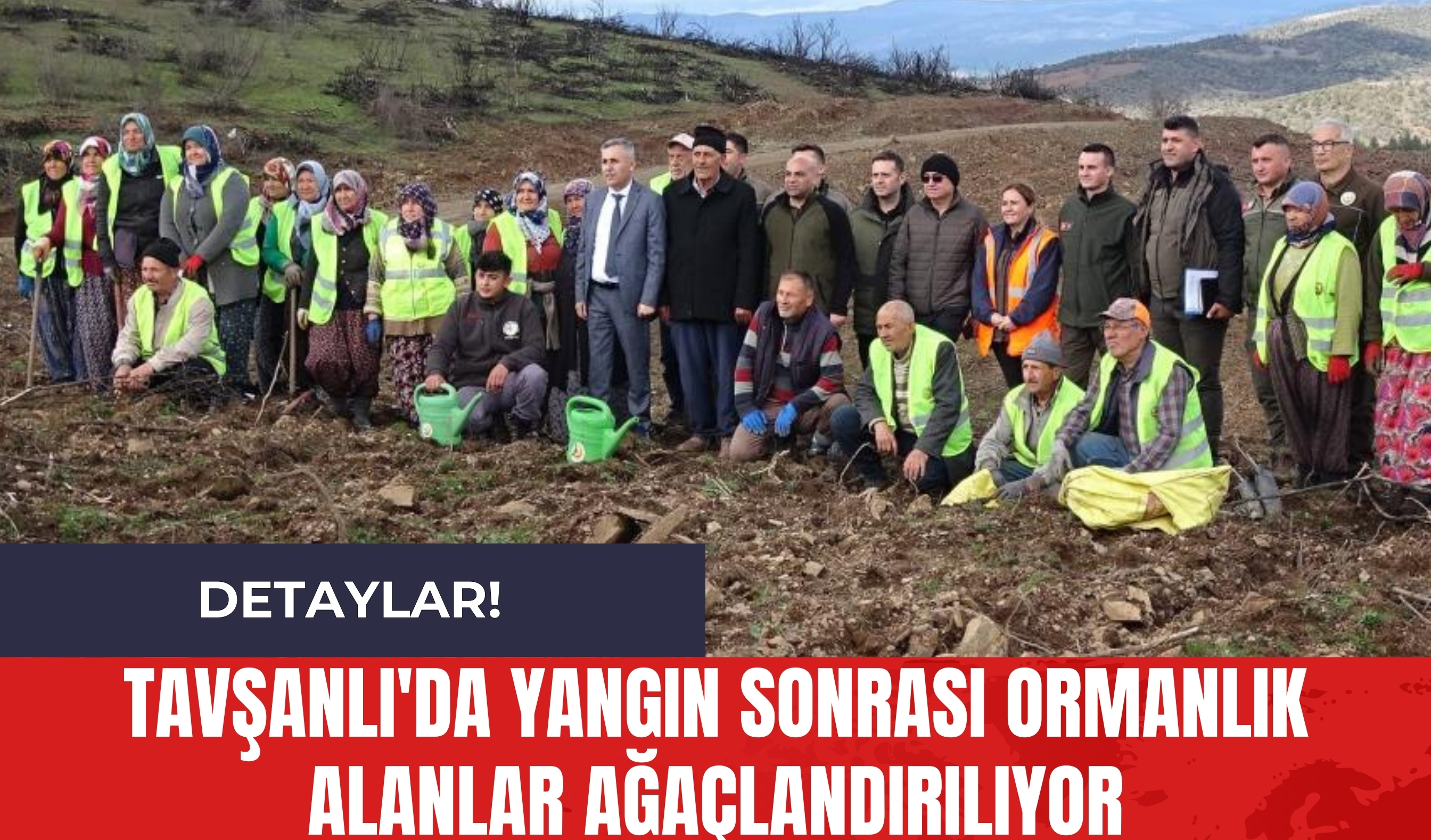 Tavşanlı'da Yangın Sonrası Ormanlık Alanlar Ağaçlandırılıyor